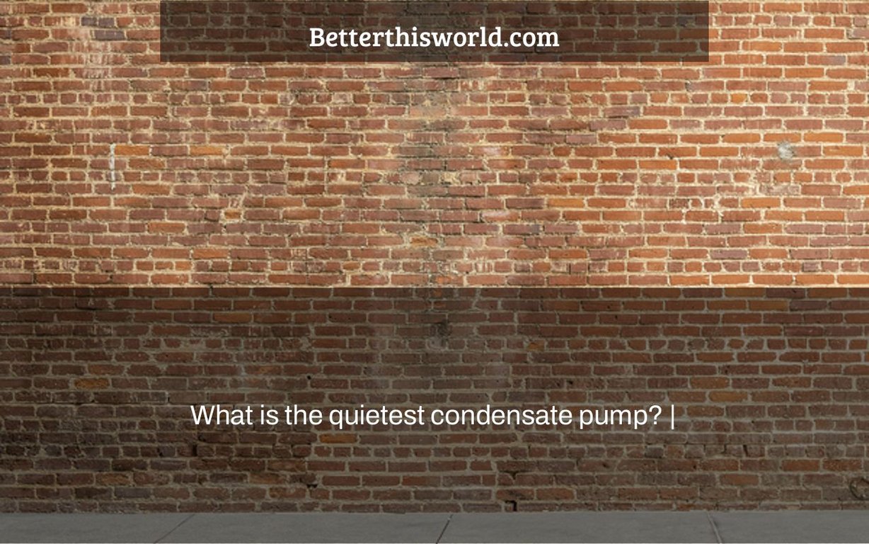 what-is-the-quietest-condensate-pump-better-this-world