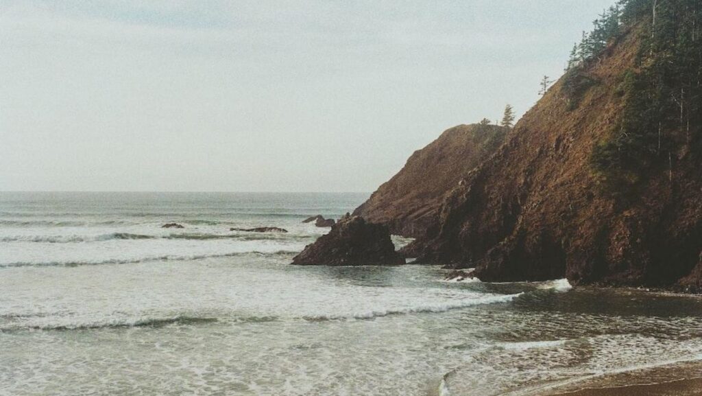 Image1