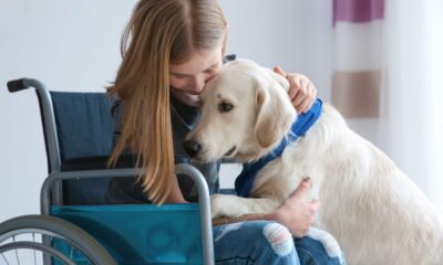 girl in wheelchair with service dog