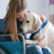 girl in wheelchair with service dog