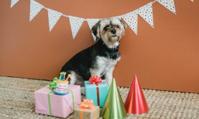 do petsmart gift cards expire