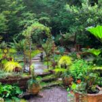 How to Choose Plants for Your Backyard: Landscaping 101