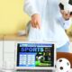Examining www ibet789 com asia features an elite asian online betting platform