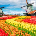 5 Reasons Why The Netherlands Is The Perfect Country To Emigrate To