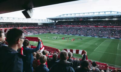 market analysis indicates